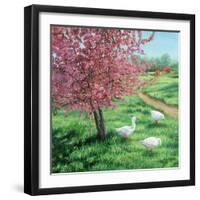 Cherry Blossom Time-Kevin Dodds-Framed Giclee Print