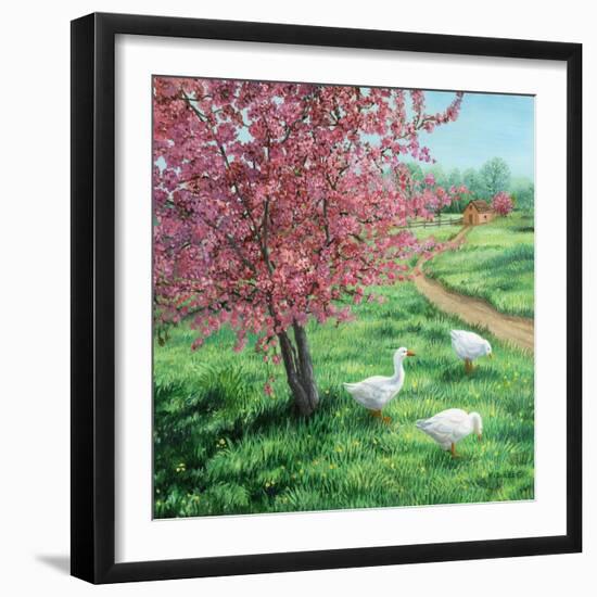 Cherry Blossom Time-Kevin Dodds-Framed Giclee Print