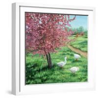 Cherry Blossom Time-Kevin Dodds-Framed Giclee Print