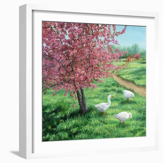 Cherry Blossom Time-Kevin Dodds-Framed Giclee Print