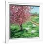 Cherry Blossom Time-Kevin Dodds-Framed Giclee Print