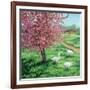 Cherry Blossom Time-Kevin Dodds-Framed Giclee Print