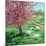 Cherry Blossom Time-Kevin Dodds-Mounted Giclee Print