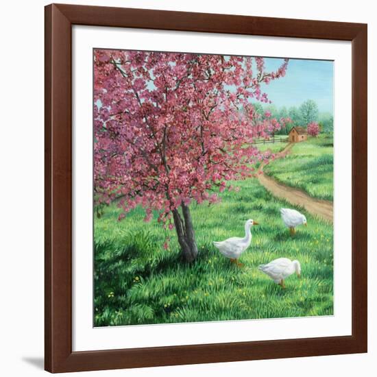 Cherry Blossom Time-Kevin Dodds-Framed Giclee Print