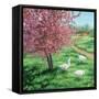 Cherry Blossom Time-Kevin Dodds-Framed Stretched Canvas