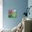 Cherry Blossom Time-Kevin Dodds-Stretched Canvas displayed on a wall