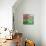 Cherry Blossom Time-Kevin Dodds-Stretched Canvas displayed on a wall