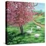 Cherry Blossom Time-Kevin Dodds-Stretched Canvas