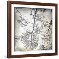 Cherry Blossom Tree V-Tony Koukos-Framed Giclee Print