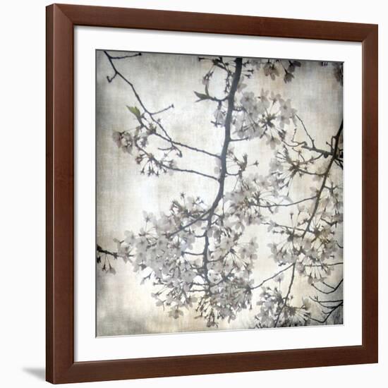 Cherry Blossom Tree V-Tony Koukos-Framed Giclee Print