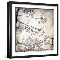 Cherry Blossom Tree VI-Tony Koukos-Framed Giclee Print