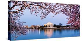 Cherry Blossom Tree with a Memorial in the Background, Jefferson Memorial, Washington Dc, USA-null-Stretched Canvas