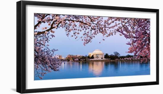 Cherry Blossom Tree with a Memorial in the Background, Jefferson Memorial, Washington Dc, USA-null-Framed Photographic Print