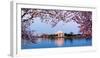 Cherry Blossom Tree with a Memorial in the Background, Jefferson Memorial, Washington Dc, USA-null-Framed Photographic Print