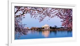 Cherry Blossom Tree with a Memorial in the Background, Jefferson Memorial, Washington Dc, USA-null-Framed Photographic Print