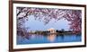 Cherry Blossom Tree with a Memorial in the Background, Jefferson Memorial, Washington Dc, USA-null-Framed Photographic Print