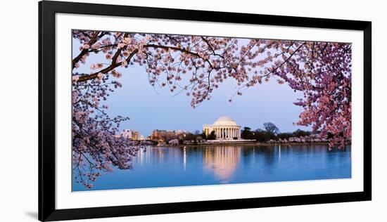 Cherry Blossom Tree with a Memorial in the Background, Jefferson Memorial, Washington Dc, USA-null-Framed Photographic Print