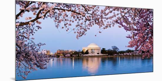 Cherry Blossom Tree with a Memorial in the Background, Jefferson Memorial, Washington Dc, USA-null-Mounted Photographic Print