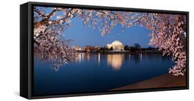 Cherry Blossom Tree with a Memorial in the Background, Jefferson Memorial, Washington Dc, USA-null-Framed Stretched Canvas