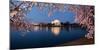 Cherry Blossom Tree with a Memorial in the Background, Jefferson Memorial, Washington Dc, USA-null-Mounted Premium Photographic Print