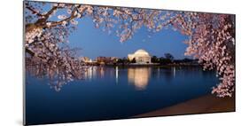 Cherry Blossom Tree with a Memorial in the Background, Jefferson Memorial, Washington Dc, USA-null-Mounted Photographic Print