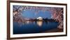 Cherry Blossom Tree with a Memorial in the Background, Jefferson Memorial, Washington Dc, USA-null-Framed Photographic Print