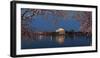 Cherry Blossom Tree with a Memorial in the Background, Jefferson Memorial, Washington Dc, USA-null-Framed Premium Photographic Print