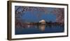 Cherry Blossom Tree with a Memorial in the Background, Jefferson Memorial, Washington Dc, USA-null-Framed Photographic Print