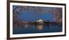 Cherry Blossom Tree with a Memorial in the Background, Jefferson Memorial, Washington Dc, USA-null-Framed Photographic Print