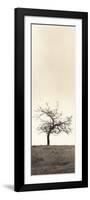 Cherry Blossom Tree-Alan Blaustein-Framed Photographic Print