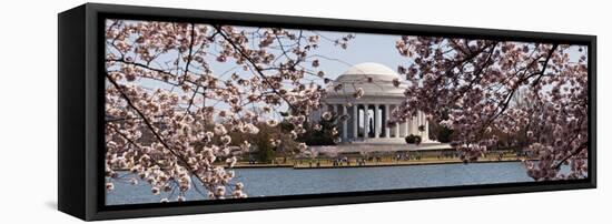 Cherry Blossom Trees in the Tidal Basin with the Jefferson Memorial in the Background-null-Framed Stretched Canvas