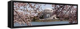 Cherry Blossom Trees in the Tidal Basin with the Jefferson Memorial in the Background-null-Framed Stretched Canvas
