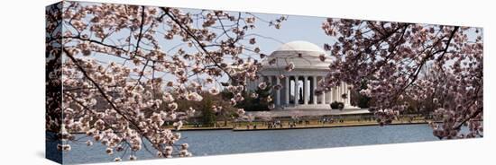 Cherry Blossom Trees in the Tidal Basin with the Jefferson Memorial in the Background-null-Stretched Canvas