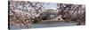 Cherry Blossom Trees in the Tidal Basin with the Jefferson Memorial in the Background-null-Stretched Canvas