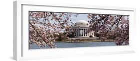 Cherry Blossom Trees in the Tidal Basin with the Jefferson Memorial in the Background-null-Framed Photographic Print