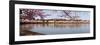 Cherry Blossom Trees Near Martin Luther King Jr. National Memorial, Washington Dc, USA-null-Framed Photographic Print