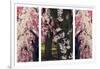 Cherry Blossom Triptych-Jessica Jenney-Framed Giclee Print