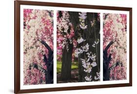 Cherry Blossom Triptych-Jessica Jenney-Framed Giclee Print