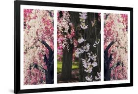 Cherry Blossom Triptych-Jessica Jenney-Framed Giclee Print