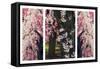 Cherry Blossom Triptych-Jessica Jenney-Framed Stretched Canvas