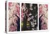 Cherry Blossom Triptych-Jessica Jenney-Stretched Canvas