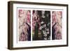 Cherry Blossom Triptych-Jessica Jenney-Framed Giclee Print