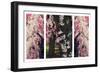 Cherry Blossom Triptych-Jessica Jenney-Framed Giclee Print