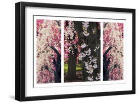 Cherry Blossom Triptych-Jessica Jenney-Framed Giclee Print