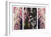 Cherry Blossom Triptych-Jessica Jenney-Framed Giclee Print