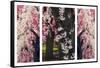 Cherry Blossom Triptych-Jessica Jenney-Framed Stretched Canvas