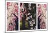 Cherry Blossom Triptych-Jessica Jenney-Mounted Giclee Print