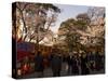 Cherry Blossom Viewing Hanami, Kanazawa City, Honshu Island, Japan-Christian Kober-Stretched Canvas