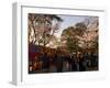 Cherry Blossom Viewing Hanami, Kanazawa City, Honshu Island, Japan-Christian Kober-Framed Photographic Print