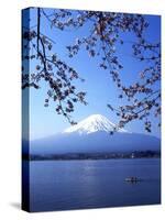 Cherry Blossom with Mount Fuji and Lake Kawaguchi in Background, Fuji-Hakone-Izu National Park, Jap-Dallas and John Heaton-Stretched Canvas